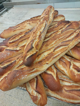 Baguette  Baie De Somme